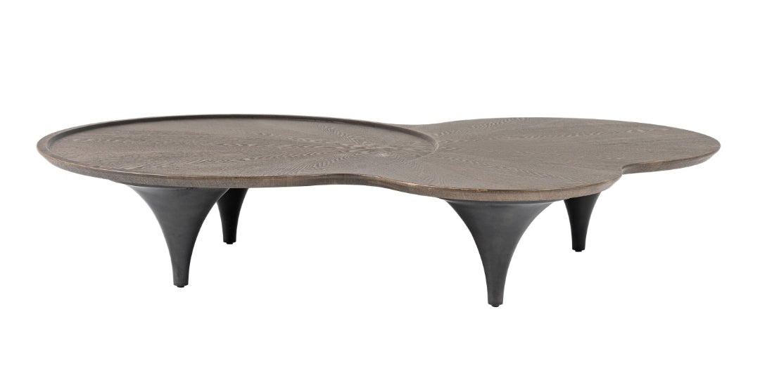 Modrest Beulah - Modern Free Form Dark Ash Coffee Table
