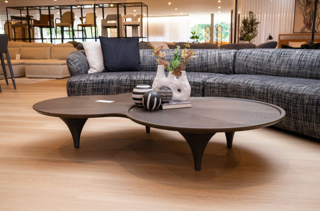 Modrest Beulah - Modern Free Form Dark Ash Coffee Table