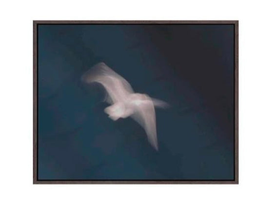 Peace in flight